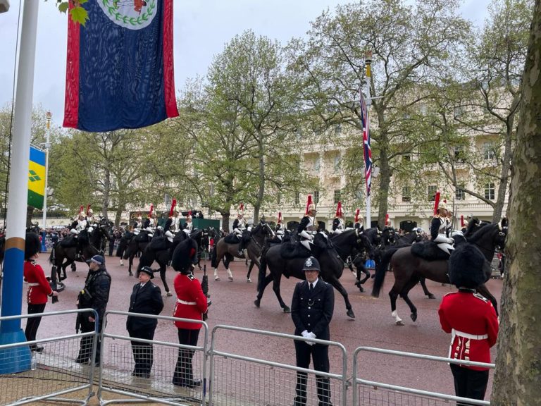 Horses at coronation