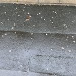 Chewing gum left on the floor