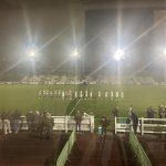 Bradford (Park Avenue) and Carlton Town players shake hands ahead of kick-off.