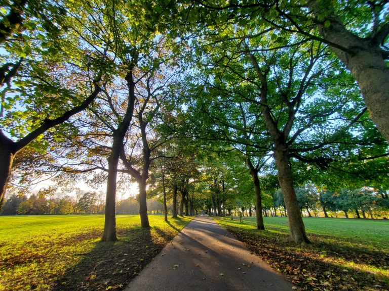 Woodhouse Moor