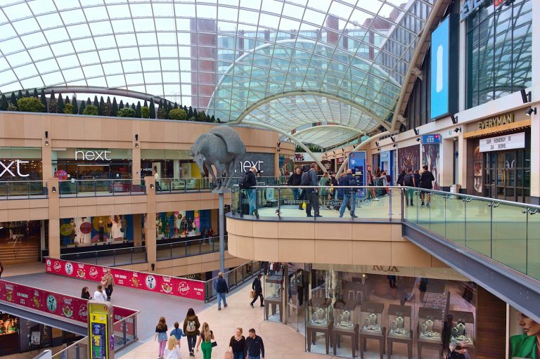a group of people walking around Leeds shopping mall