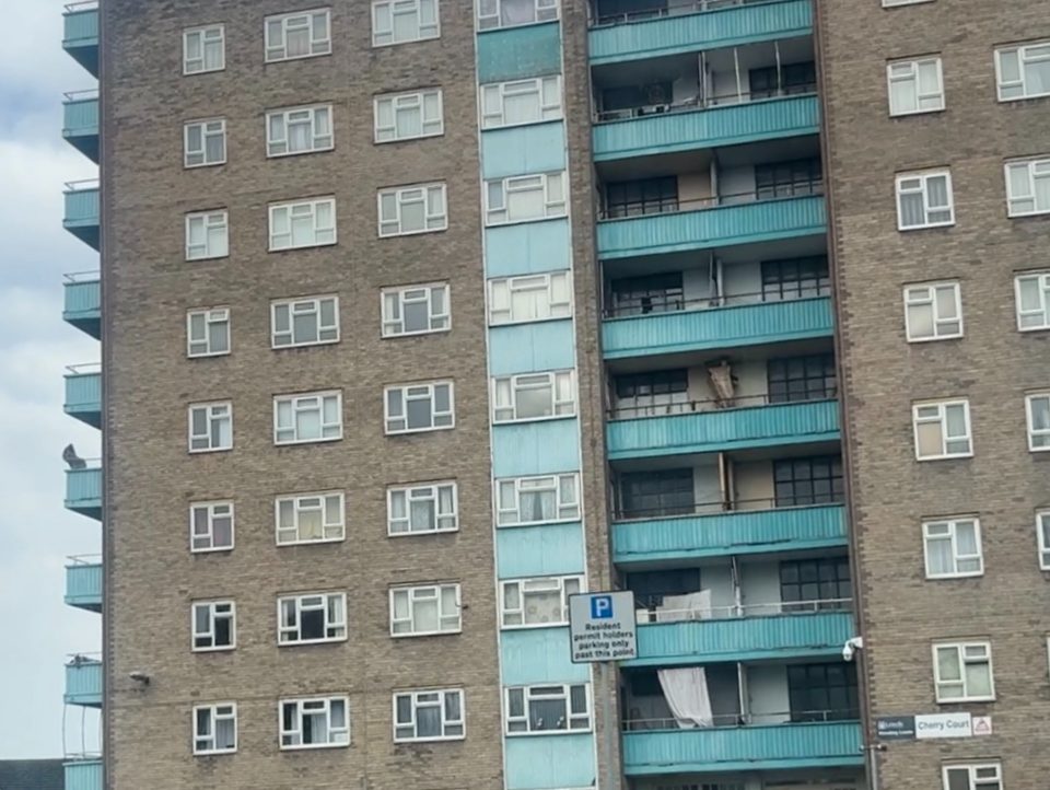 A large block of brown flats with blue balconies.