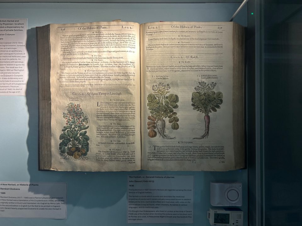 image of old book against a blue background in a glass cupboard. The book has illustrations of various plants with details about the what each plant is called and where it grows.