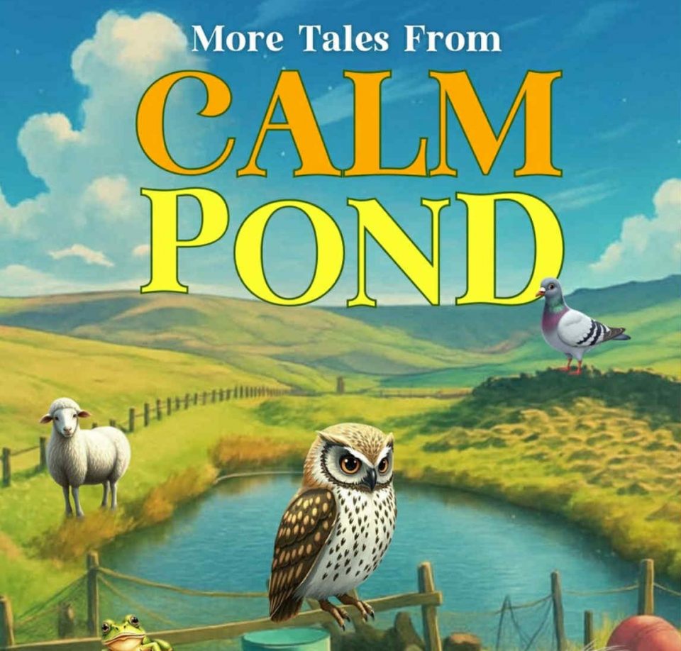 Cover of Richard Clarke's third addition to his 'calm pond' series