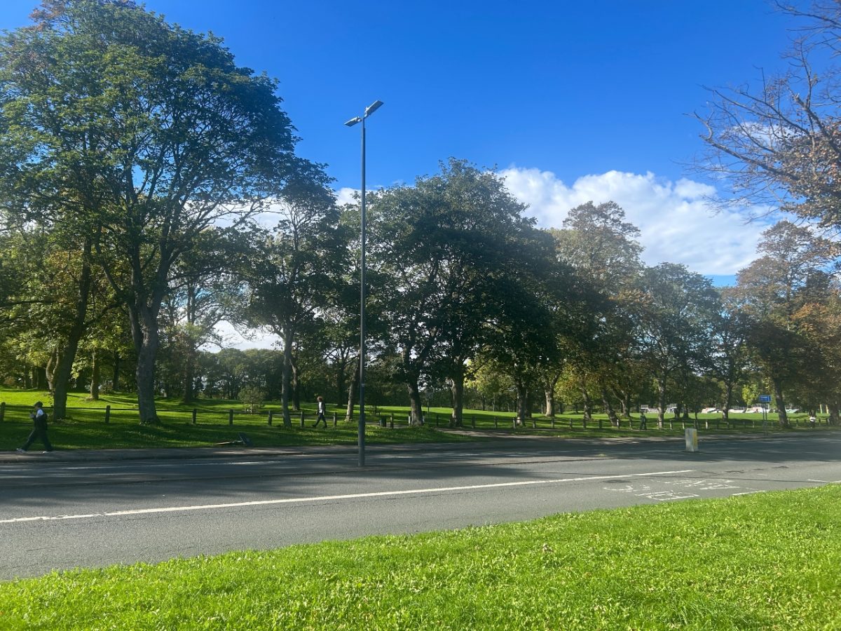 image of Hyde park, Leeds from the opposite side of the road. Green grass and large trees line the background whilst a gray paved road stretches across the foreground.