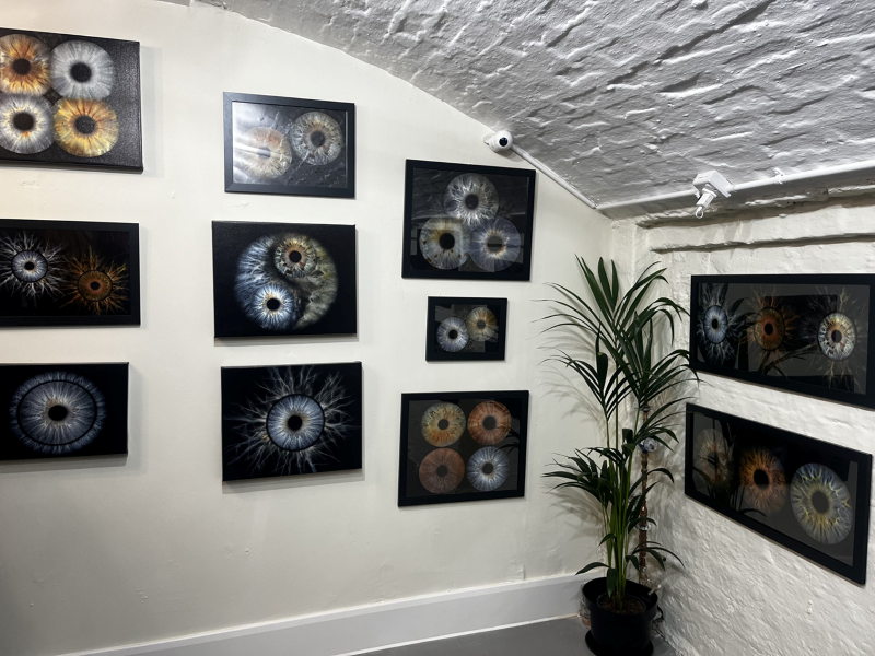 A gallery wall featuring framed close-up photographs of human irises in different colors and patterns, with a potted plant on the floor to the right.