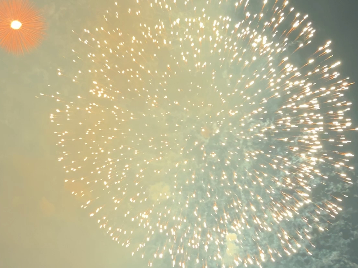 Fireworks at Moortown Rugby Club