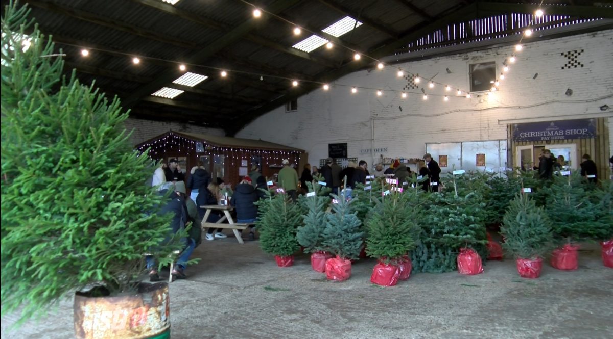 The image shows a farm with visitors and trees inside sat down
