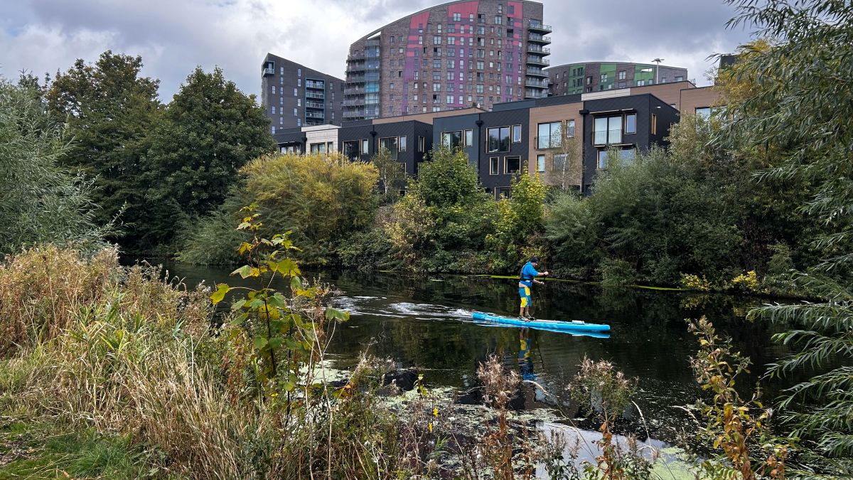 Paddleboarder paddling on a river in between shrubbery