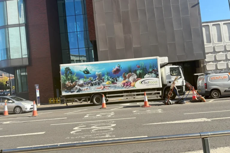 A lorry parked in a city centre street, with traffic cones surrounding the vehicle